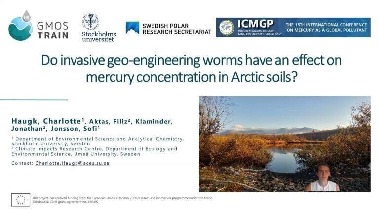 Do invasive geoengineering worms have an effect on mercury concentration in Arctic soils?